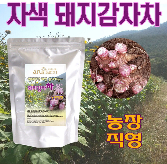 돼지감자 자색돼지감자차 300g, 2개