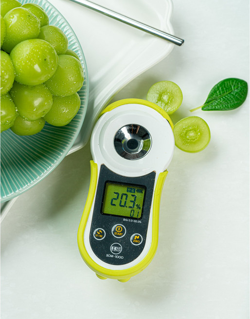 [18브릭스] 샤인머스켓 가정용 고당도 국내산, 1개, 2kg 2-3수 [가정용)