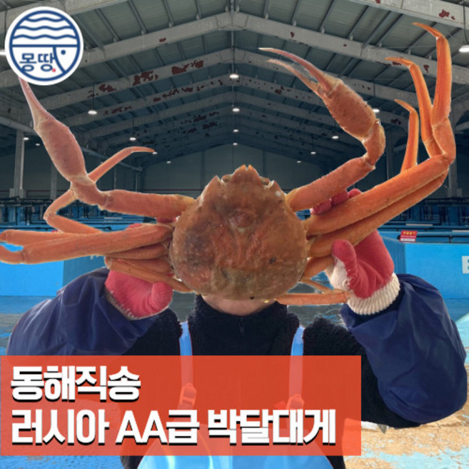 [몽땅농수산] 산지직송 최상급 러시아 자숙대게 시세 3kg 4kg 5kg 수율보장, 러시아 자숙 박달대게 꽉찬수율 4kg(3-5미), 1개