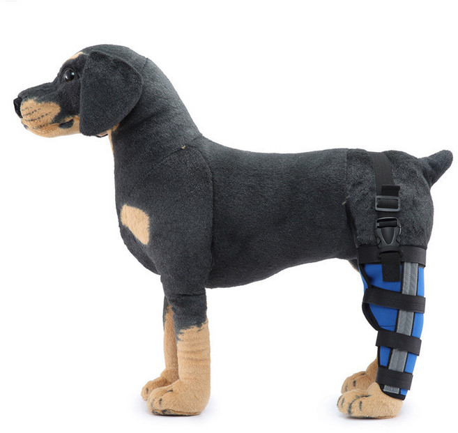 狗狗術後輔助後腿護膝，行走支撐固定, HJ36藍色左後腿（加支撐條加反光,L, 1個