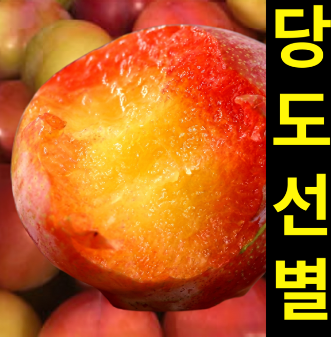 4위 - [26년햇자두] 과즙폭발 제철 자두 산지직송, 1세트, 1kg