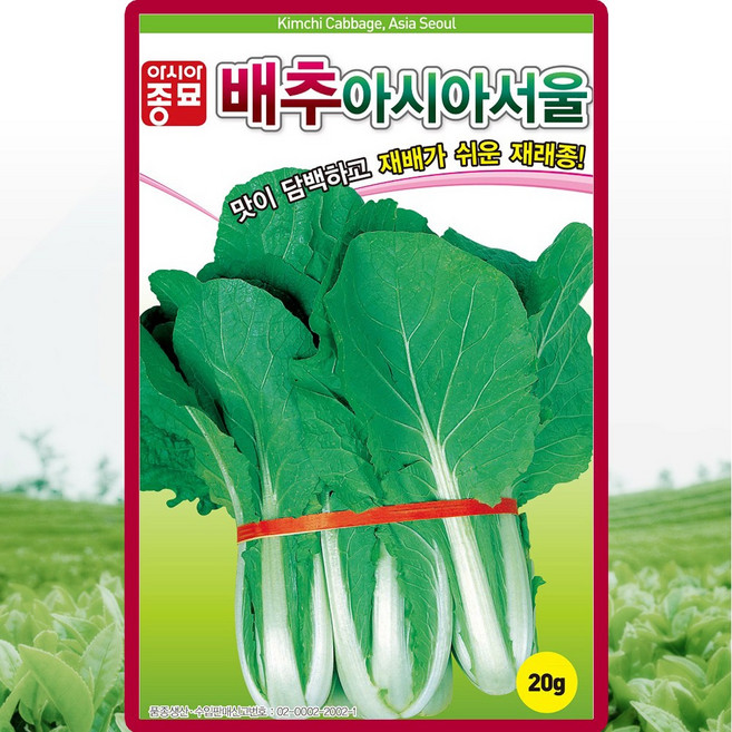 아시아종묘 배추 아시아서울 씨앗 20g, 1개