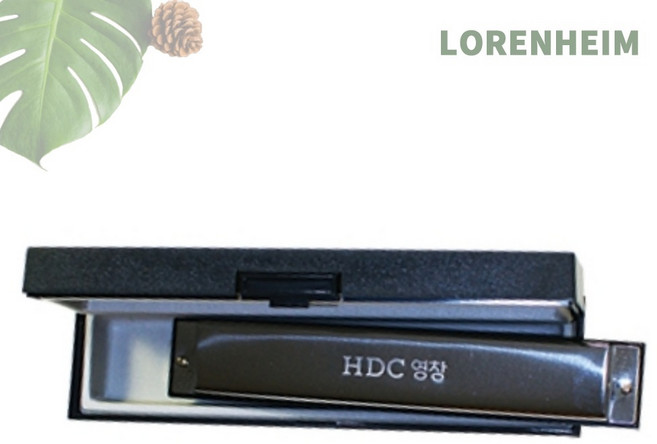 로렌하임 영창 하모니카 YH24D C장조 24홀 음악교육 60개입 영창하모니카