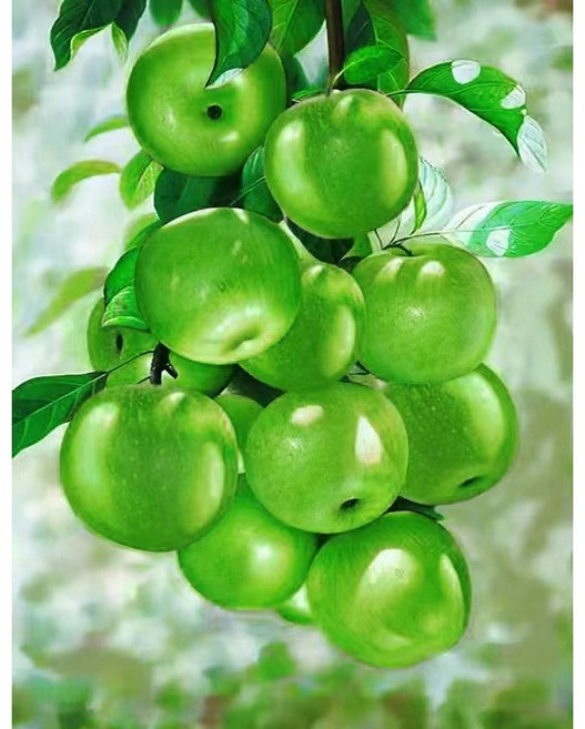 대진 보석십자수 사이즈 대형 금전운 보석 십자수, 1개, 61 금전을 부르는 익은 사과 4X5