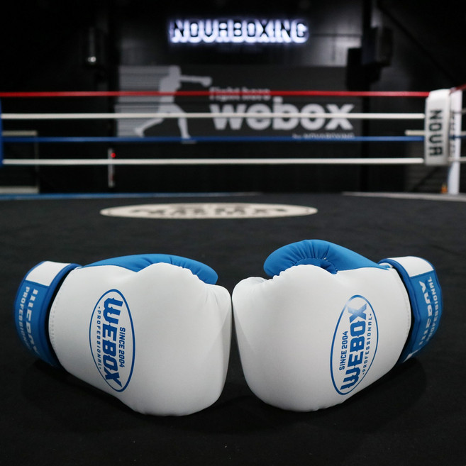 NOVABOXING 노바복싱 626 복싱글러브, 1세트, 파랑