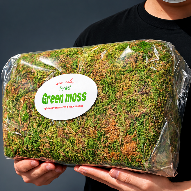천연이끼 건조 이끼 인삼 테라리움 비바리움 장식 토피어리 조경용 인조잔디 700g, 1개