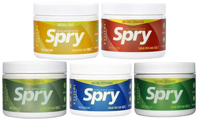 자일러 Xlear 스프라이 무설탕 껌 100개입 5세트, 페퍼민트1과일1시나몬1풍선껌1스피어민트1, 1개