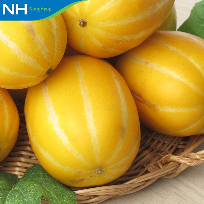 [성주참외원예농협] 달콤한 참외, 1박스, 5kg(11-20과)