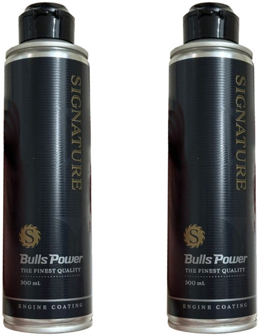 불스원 불스파워 엔진코팅제 시그니처, 300ml, 2개