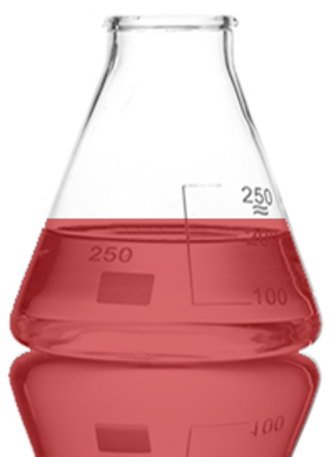 자운고오일, 100ml, 1개