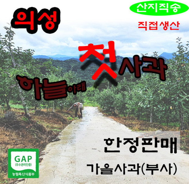 하늘아래첫사과(직접생산 박스무게제외 가정용사과), 1개