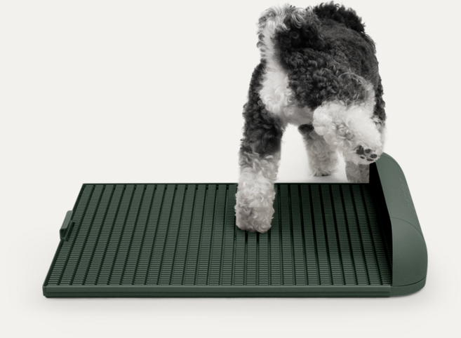 독톡 강아지 배변판 패드필요없음, 올리브그린, 1개