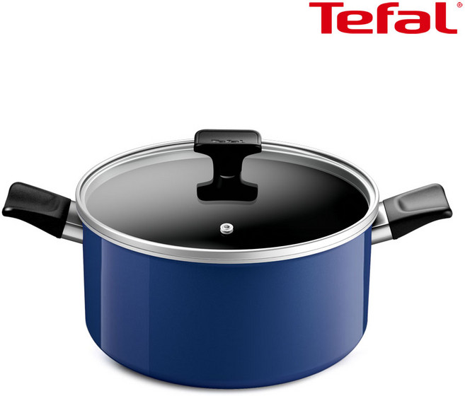 테팔 인덕션 티타늄 1X 세이버리 양수냄비, 24cm, 상세 설명 참조, 1개