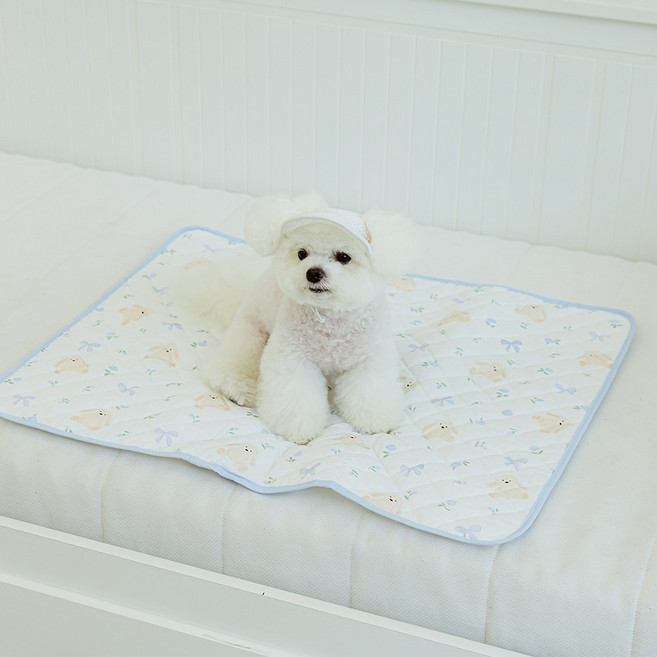 스카이몰 강아지 산책 매트, 1개, 곰돌이리본