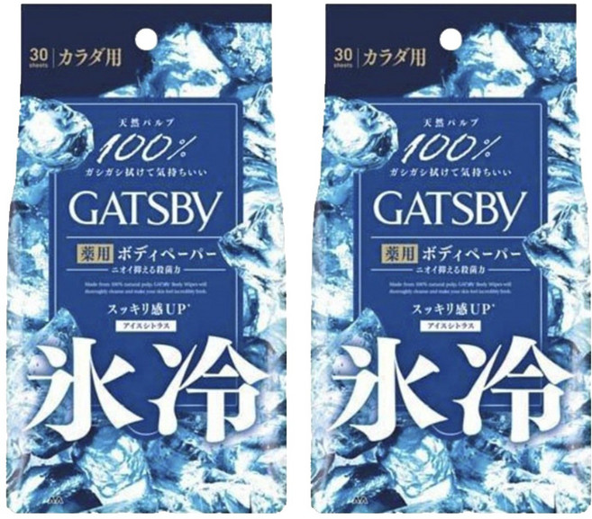 갸스비 데오도란트 샤워 티슈 아이스 시트러스 30매입, 2개