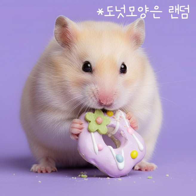 도치퀸 YEE 도넛 햄스터 간식 이갈이 낱개 1P, 1개, 20g