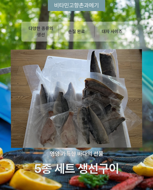 동해안 해풍 건조 반 건조 생선 구이 5종 세트/고등어/삼치/방어/열기/가자미 선물 세트, 1세트