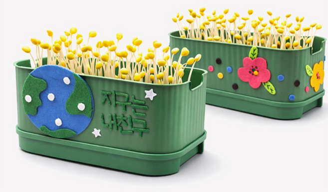 뚝딱 콩나물 키우기 키트 사각시루 만들기 그림 그리기 교구 재료, 동백, 1개