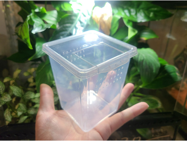 적재형케이지 유체세로형 ( 타란튤라 나무위성 적재 사육장 ), 1개