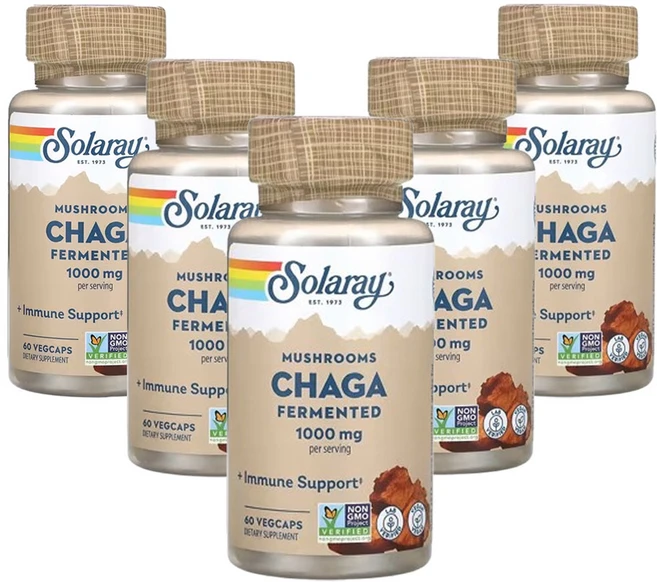 솔라레이 발효 차가버섯 1 000mg 60베지캡슐(캡슐당 500mg), 5개, 60정 - 쿠팡