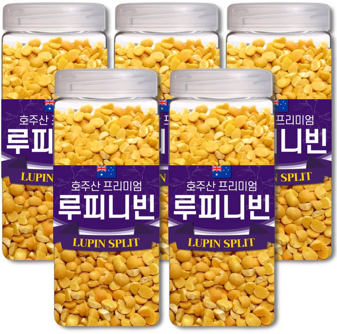 통에담은 최상급 루피니빈 콩 호주산 루핀콩, 5개, 1kg
