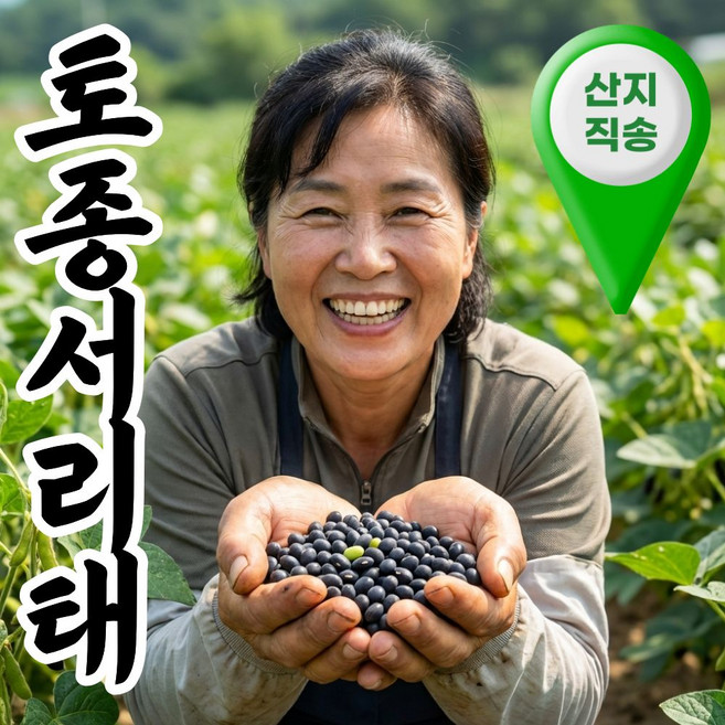 더맛곳간 국산 서리태 검정콩 토종 검은콩 서리태콩, 1개, 3kg