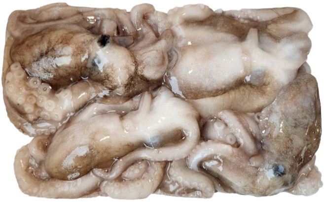 수산잇츠 냉동낙지 급냉 활낙지 낙지볶음, 1개, 850g (6미)