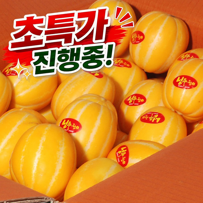 성주 꿀 참외 고당도 산지직송 랜덤과, 1개, 5kg