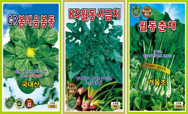 월동 채소씨앗 3종 봄동배추 월동시금치 월동춘채 종자, 3개
