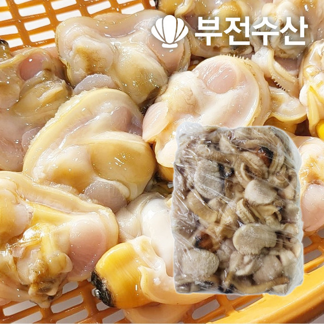 부전수산 냉동 손질 신선한 내장 제거 개조개살 (대합살) 대용량 4kg (500g x 8개) 개조개 대합조개 백합 육수재료 해장국재료 개조개미역국 조개탕 조개구이, 1개