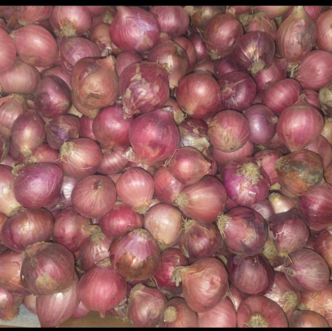 미얀마 샬롯미니양파2kg, 1개, 2kg