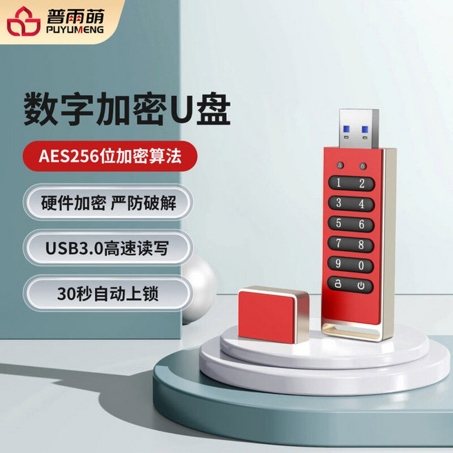 비밀번호 USB 메모리 플래시 보호용 레거시 업그레이드 저장장 8GB3 256GB, 8GB, 로즈레드, 1개