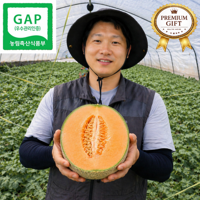 [상위1%] 산지직송 고당도 고령 그린 하미과 메론 황제멜로, 1세트, 3개