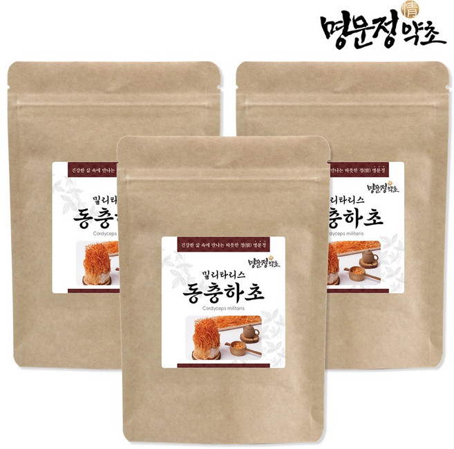 명문정약초 동충하초 가루 국내산, 3개, 150g