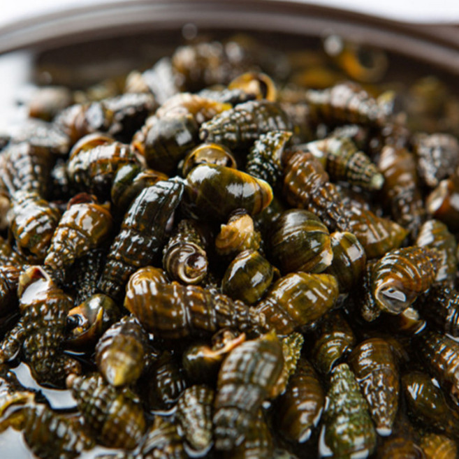 산지직송 국내산 영월 자연산 다슬기 생다슬기, 1kg, 1개