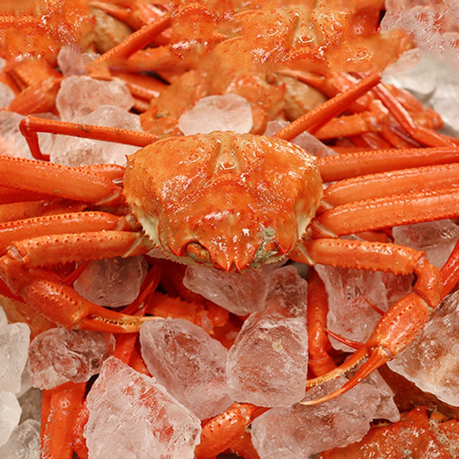 해송수산 후포 자연산 박달홍게, 1박스, 4kg(자숙)