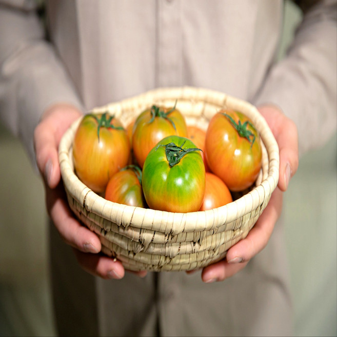 짭짤이/ 대저토마토, 1개, 특품 대저 토마토 2.5kg (L) / 행사상품