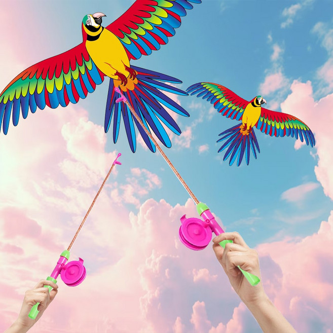 하늘낚시연 독수리 앵무새 가오리연 대형 연날리기 세트, 1개