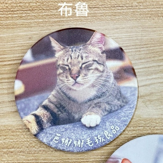 芭娜娜毛孩良品 陶瓷吸水杯墊 鶯歌製造, 1個, 虎斑-布魯