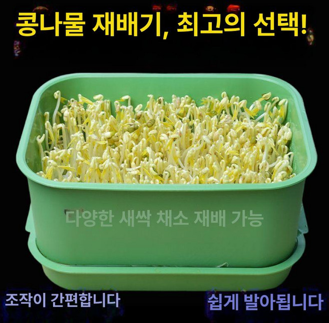 대용량 발아기 식물 재배기 식물재배기 수경재배 콩나물재배기 채소재배기, 1개, 1개