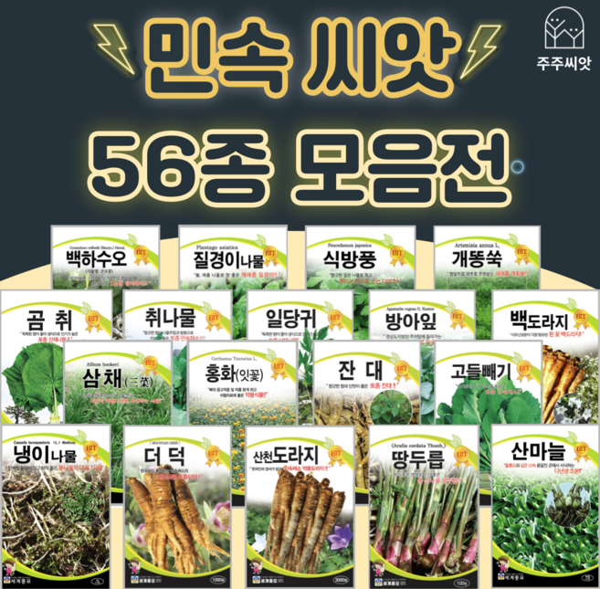 산미나리 씨앗 400립 다년생 미나리씨, 45. 산미나리 400립, 1개