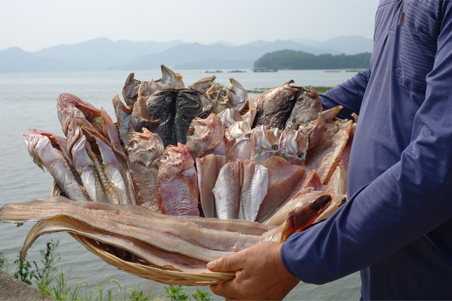 [통영생선아지매] 자연산 반건조 삼뱅이 쏨뱅이 18-30cm 3미~10미 제수용생선, 1개, 28-30cm 3미