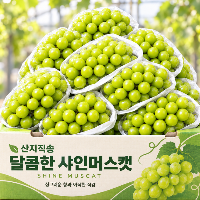 [마지막특가] 초대18brix 고당도 산지직송 샤인머스캣, 1박스, 2kg