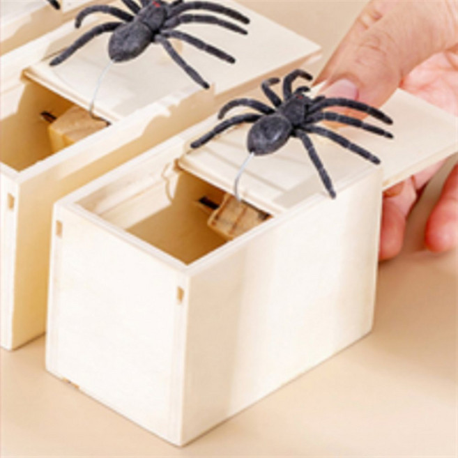 콩군하우스 거미 모형 상자 거미인형