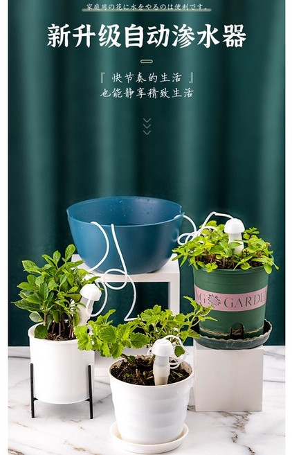 自動澆花器 陶瓷滲水器 懶人澆花神器 三個月自動澆水 滴灌微灌 露臺花園, 1個
