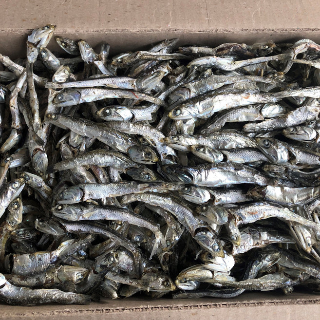 신건호멸치 육수용 햇 다시멸치(상급) / 대멸치 국물멸치, 1개, 1.5kg