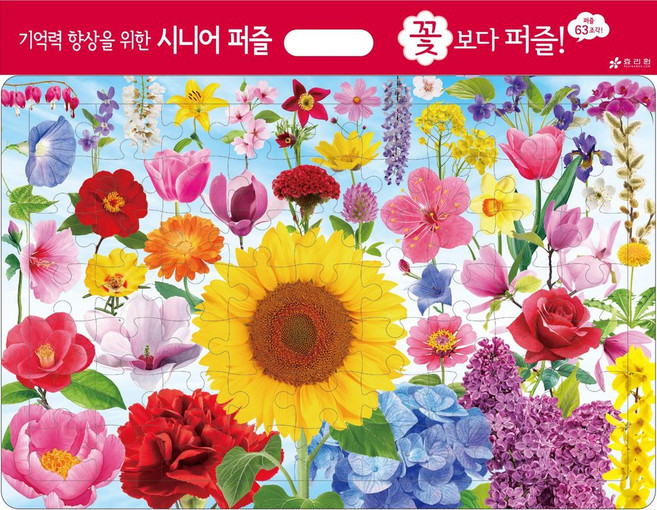 [효리원] 기억력 향상을 위한 시니어 퍼즐 - 꽃보다 퍼즐, 효리원