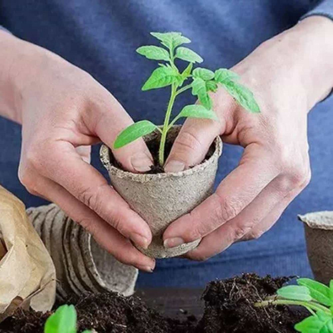 원형 종이화분 묘목컵 삽목용 분갈이용 작은 식물 다육이 부직포 20p, 20개한세트 원형4공