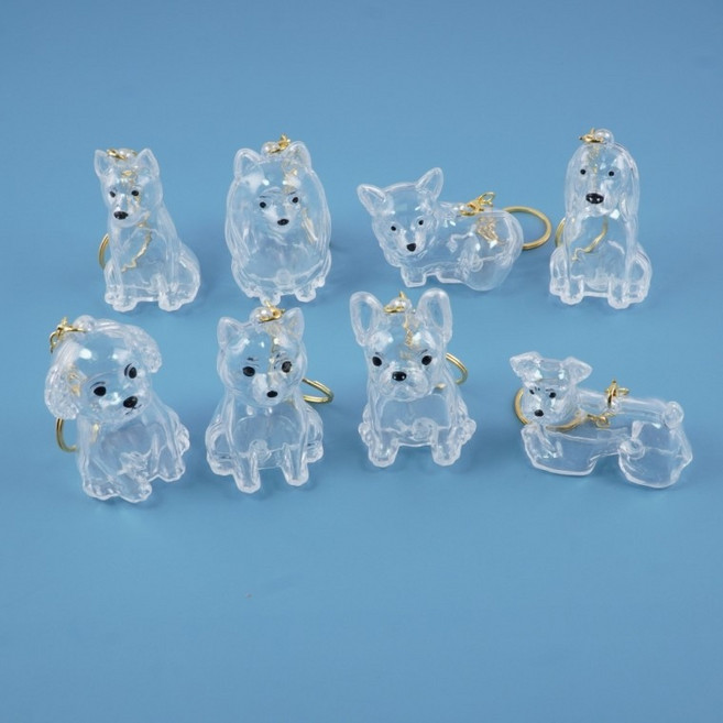 키링 반려견 강아지털 보관 기억 추억 캡슐 투명 홀더 팬던트 가방고리