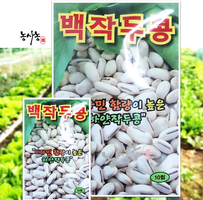 농사친구 백작두콩 씨앗 10립 동원 씨 종자 상추 쪽파 고사리 명이나물 산상추 초당옥수수 항암배추 담배 산마늘 아스파라거스 고수, 1개